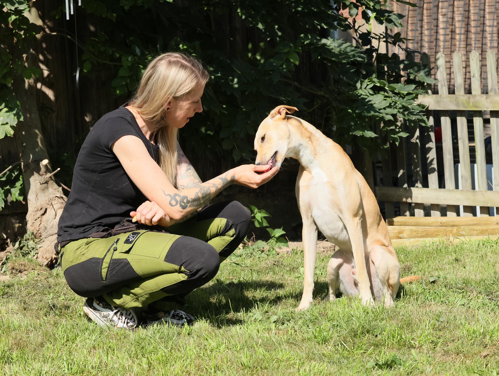 Wie du eine moderne, gewaltfreie Hundeschule findest: Die 3 wichtigsten Fragen für deine Entscheidung