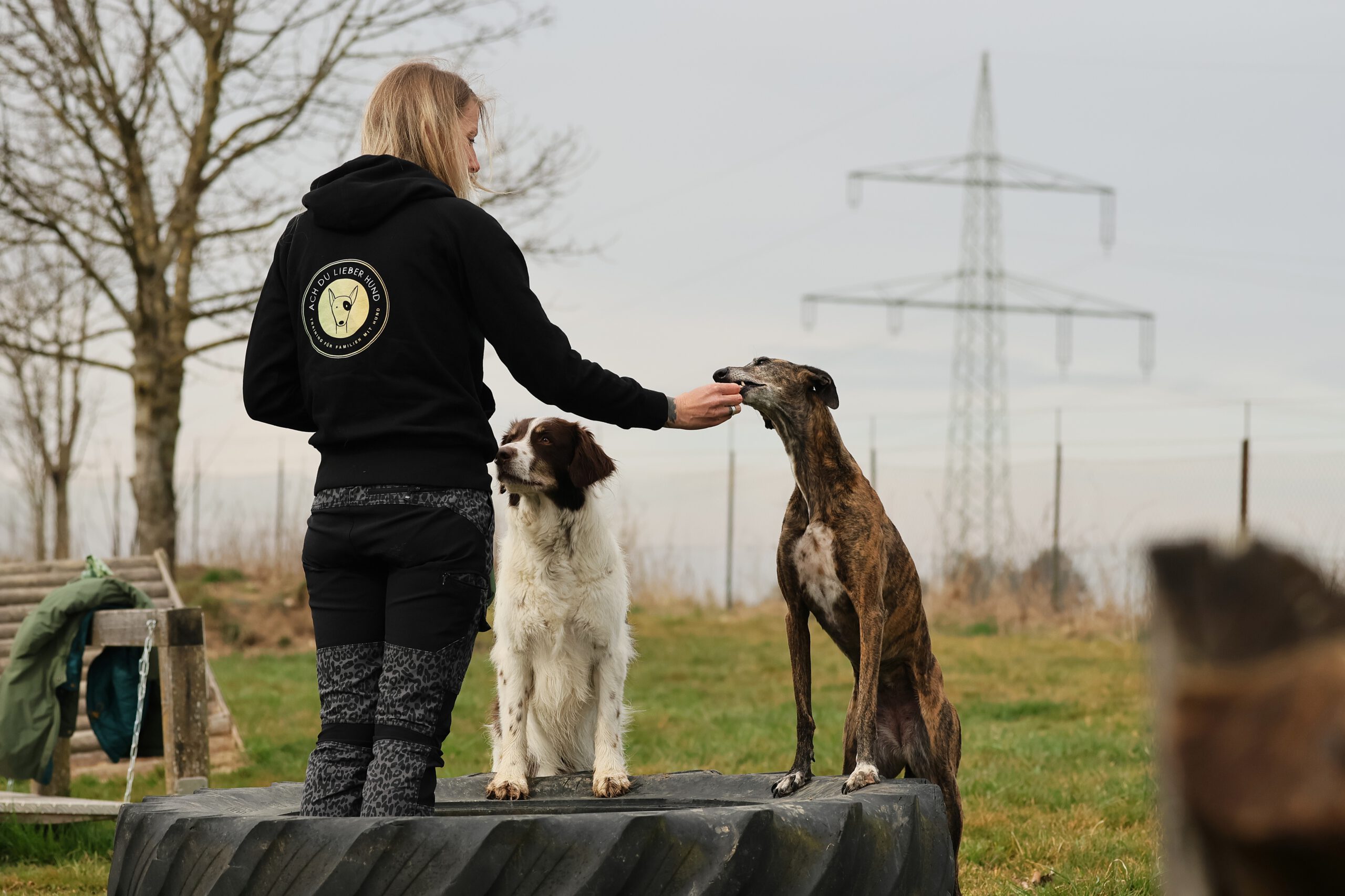 Hund-Hund-Kommunikation